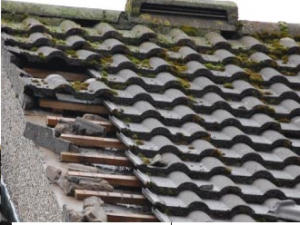 An image of a damaged and mossy roof with some tiles missing and wooden struts exposed.